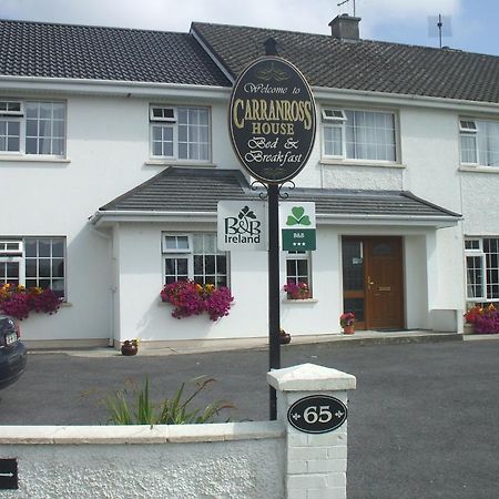 Carranross Accommodation 基拉尼 外观 照片